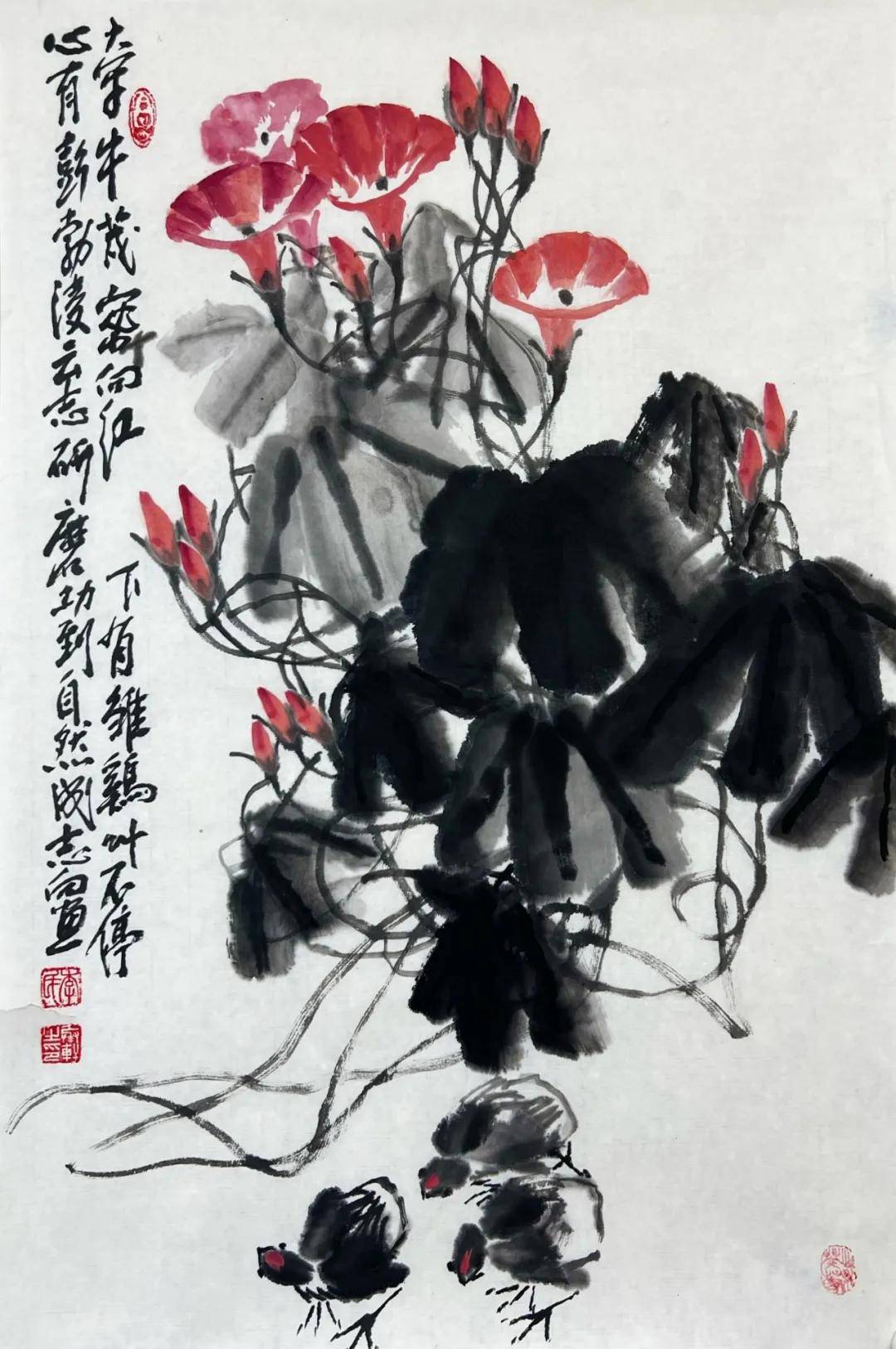 图