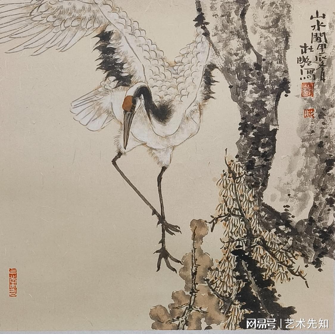 图