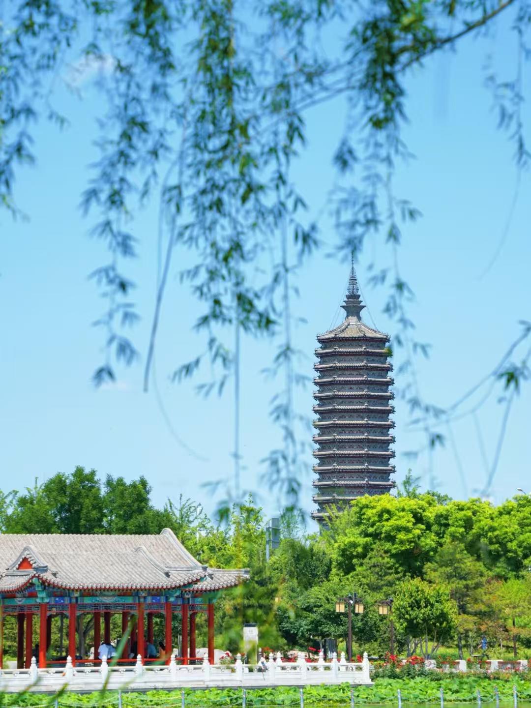 图