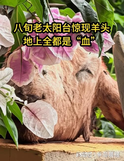 图