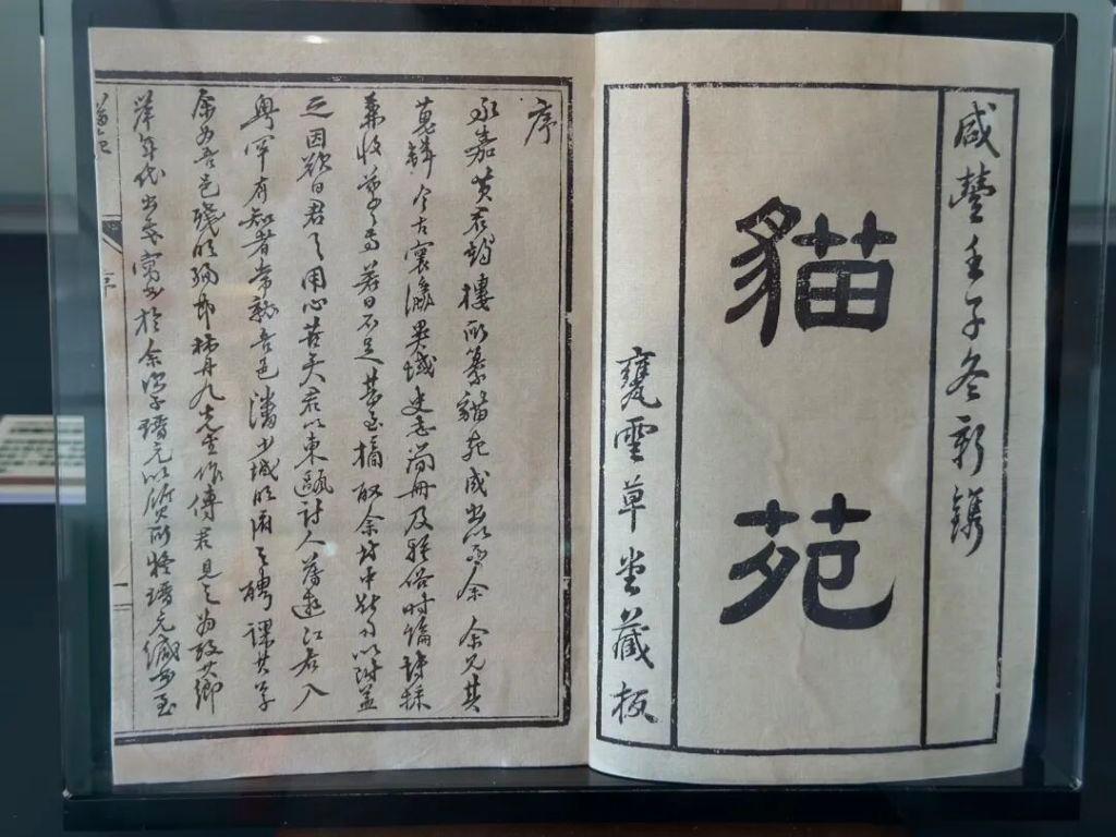 图