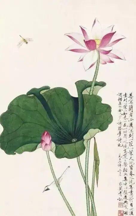 图