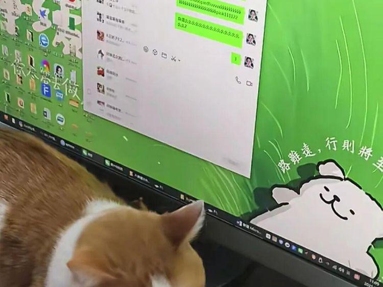 图