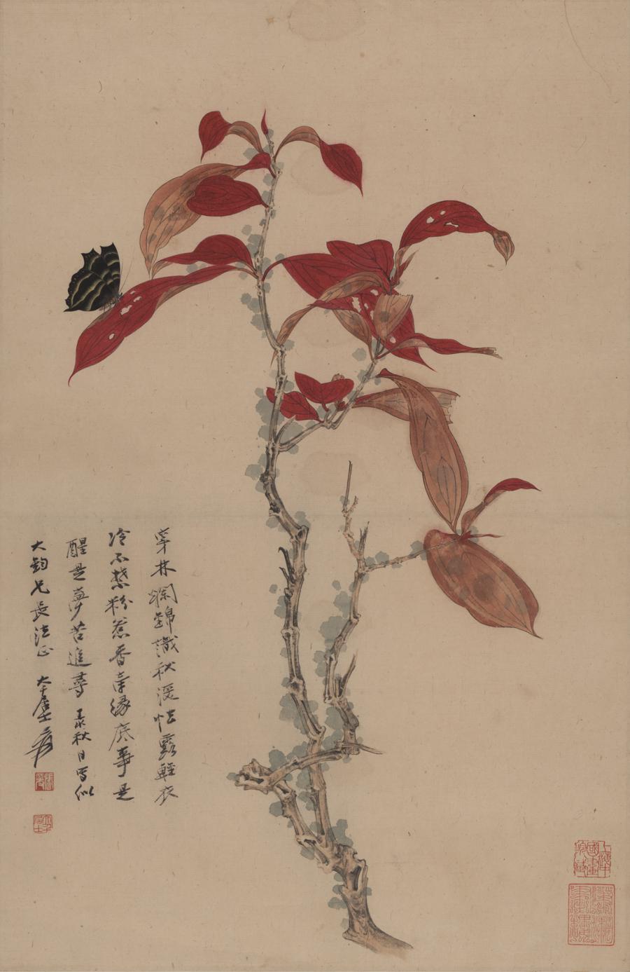图
