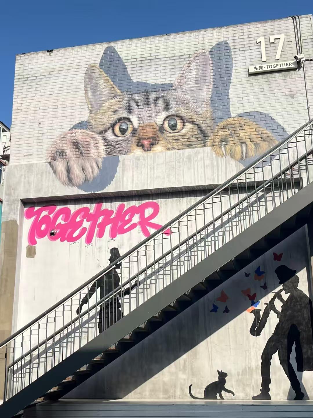 图