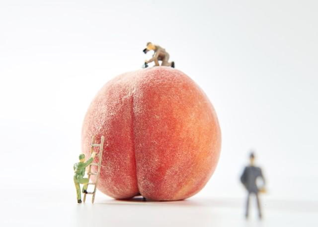 图