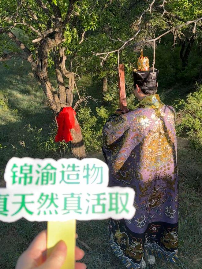 图