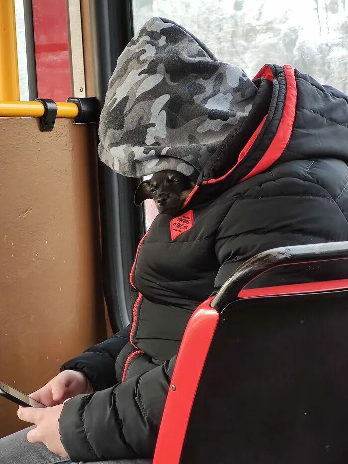 图