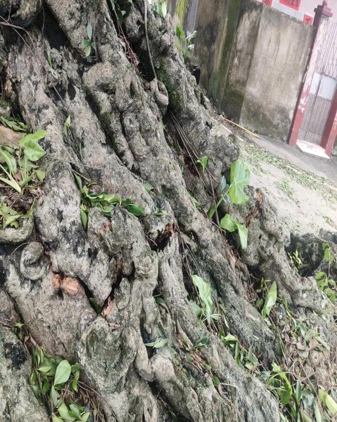 图