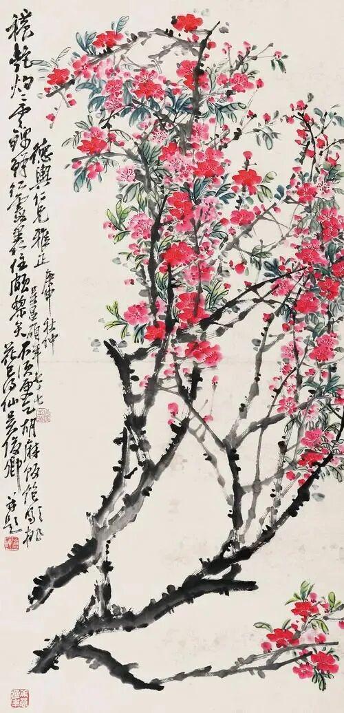 图