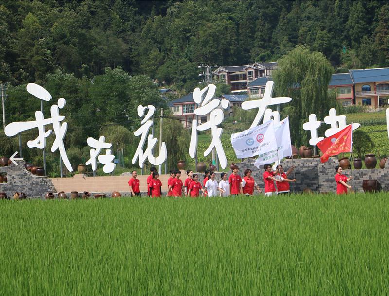 图