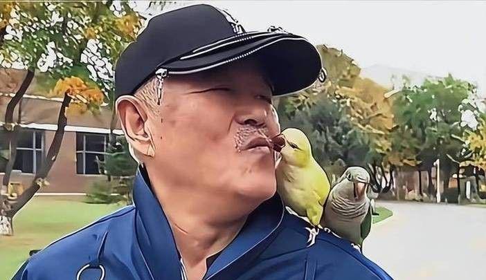 图