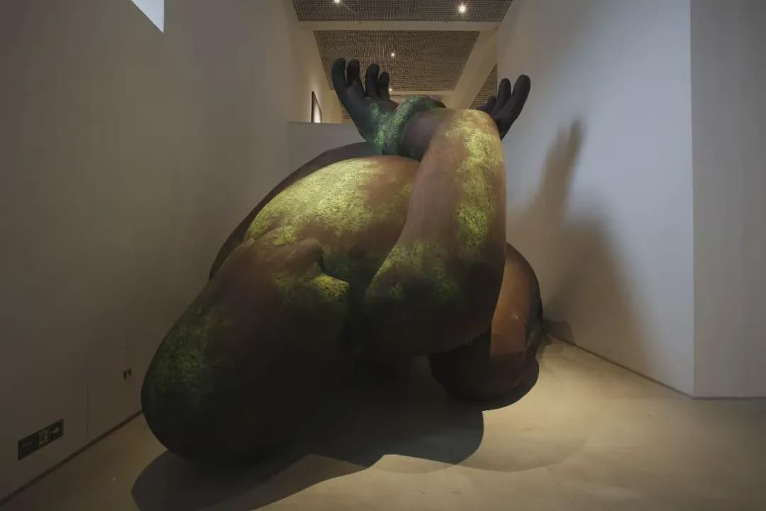 图