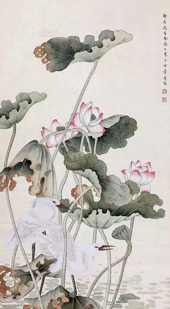 图