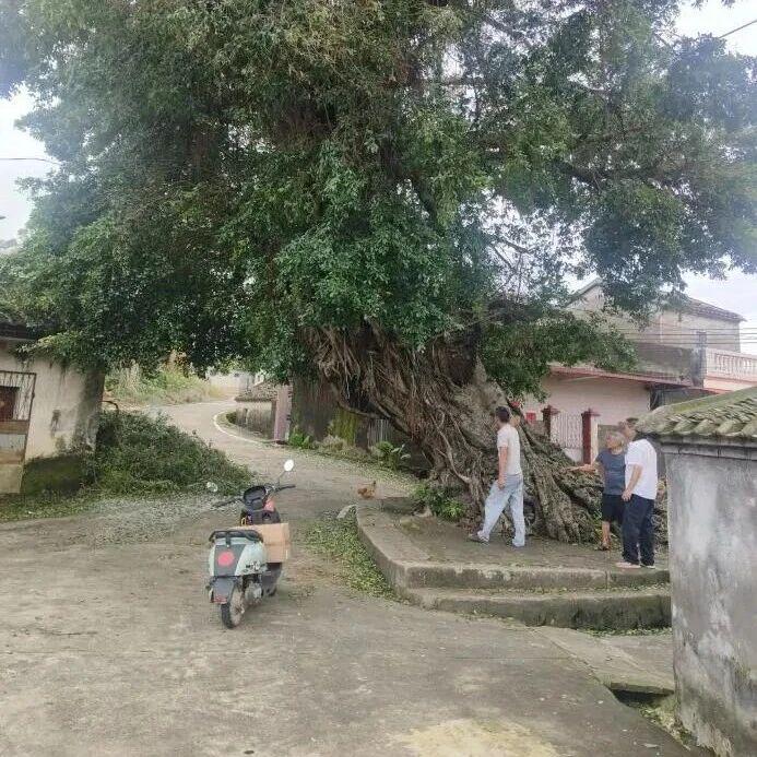 图