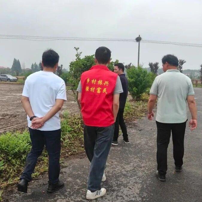 图