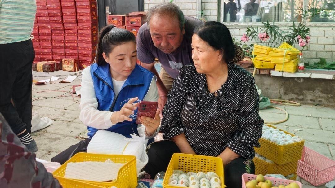 图