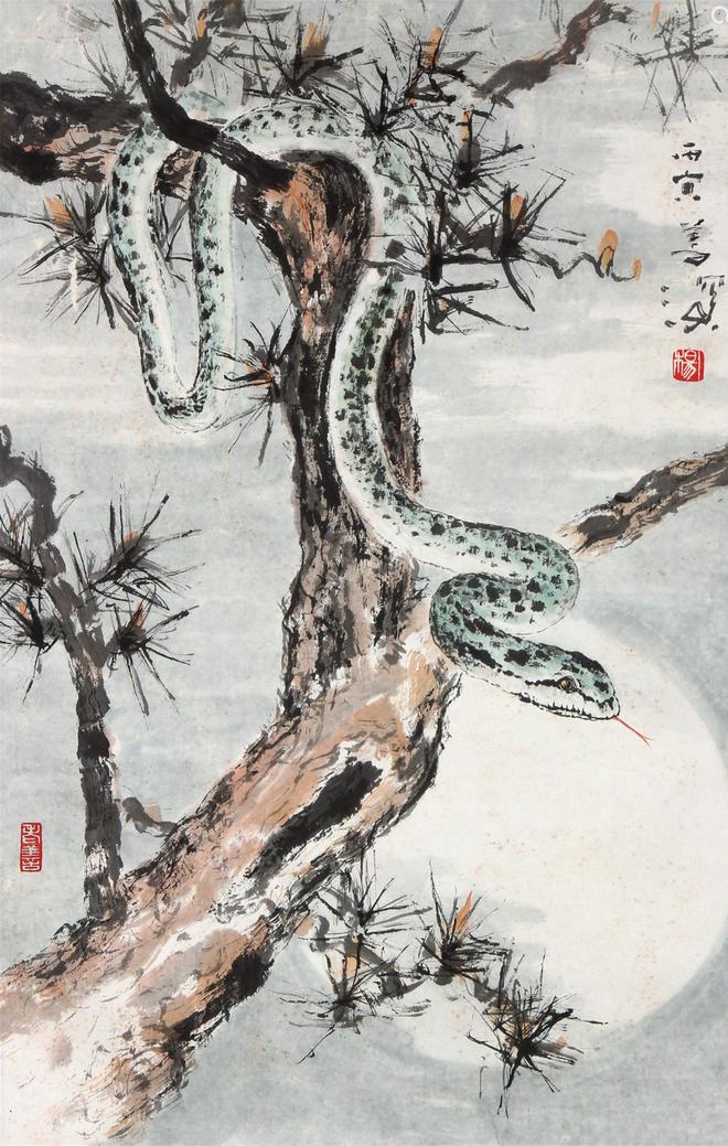 图