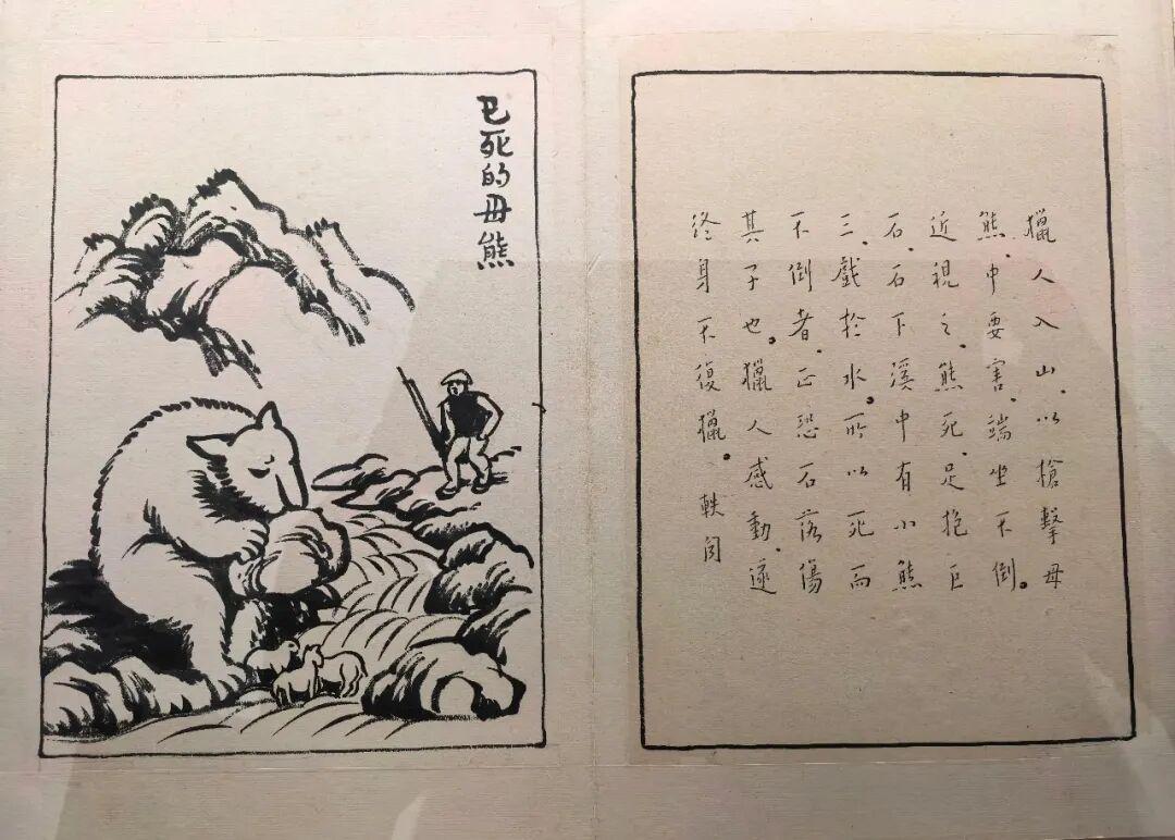 图