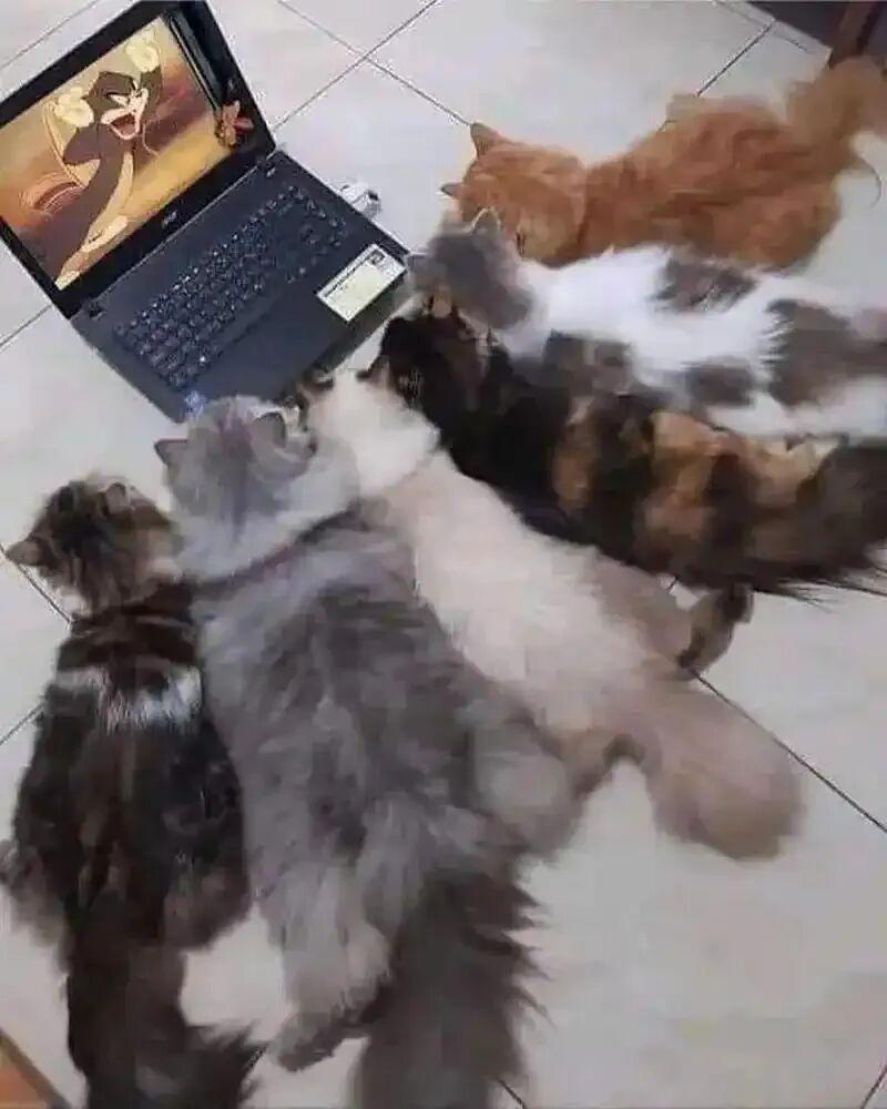 图