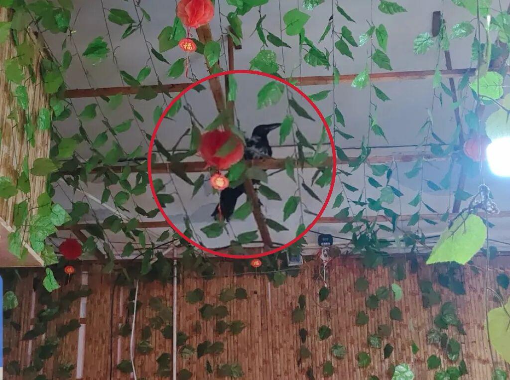 图