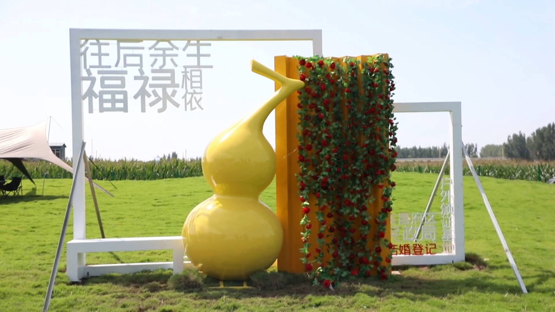 图
