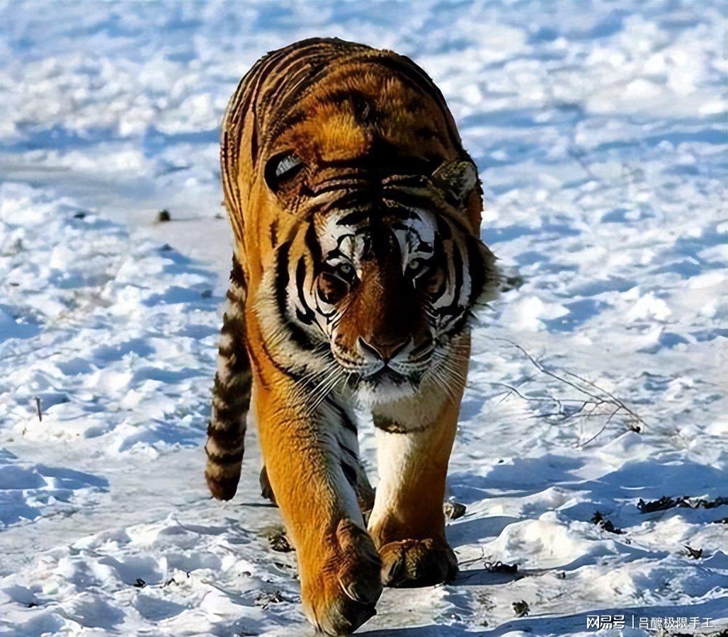 图