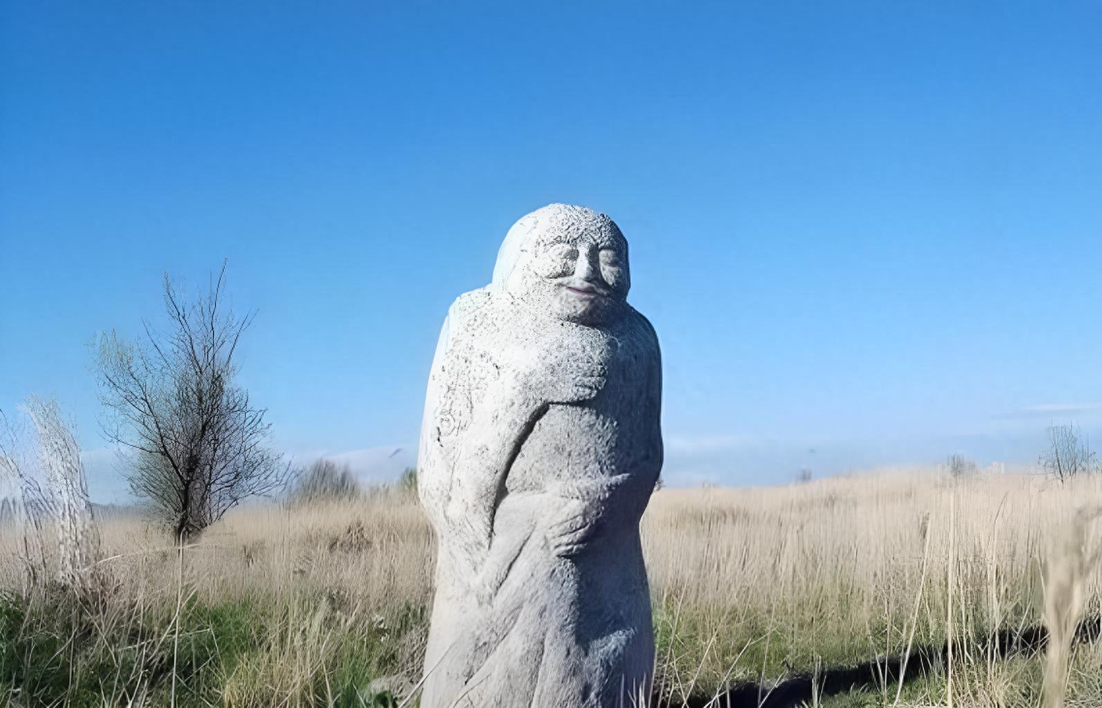 图