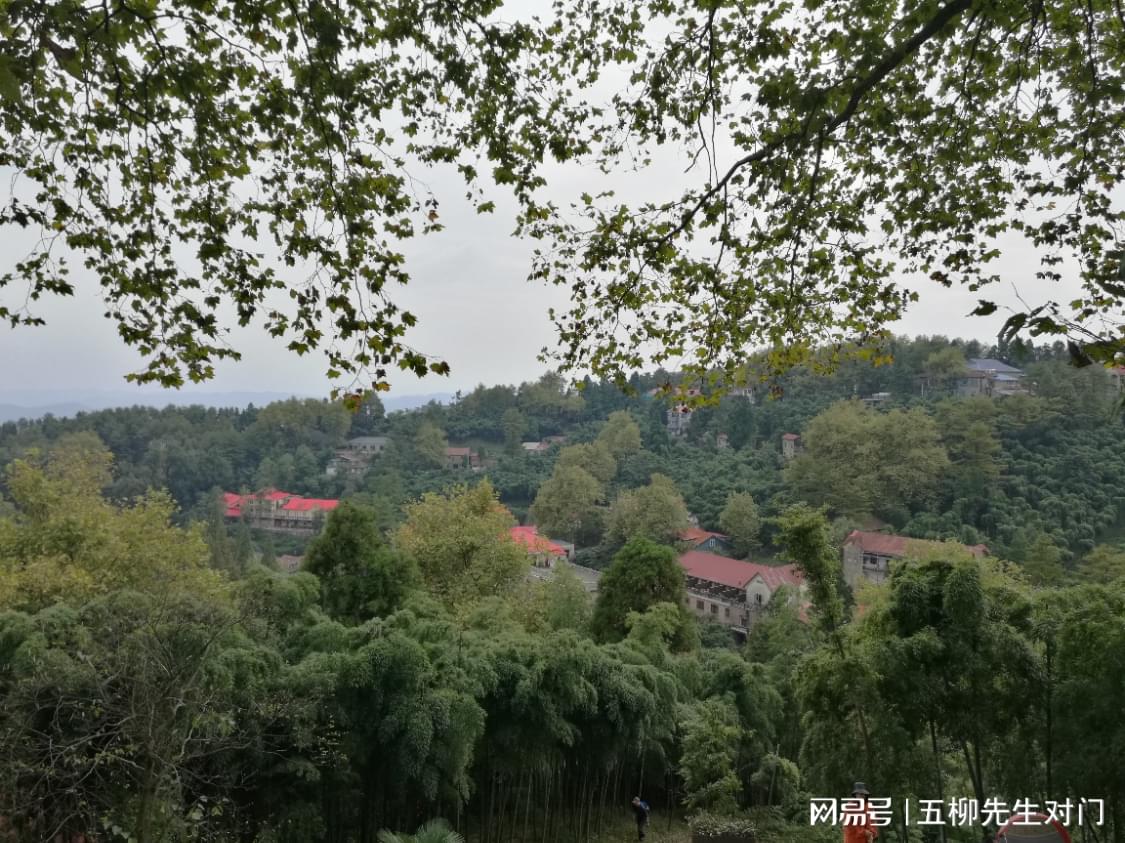 图