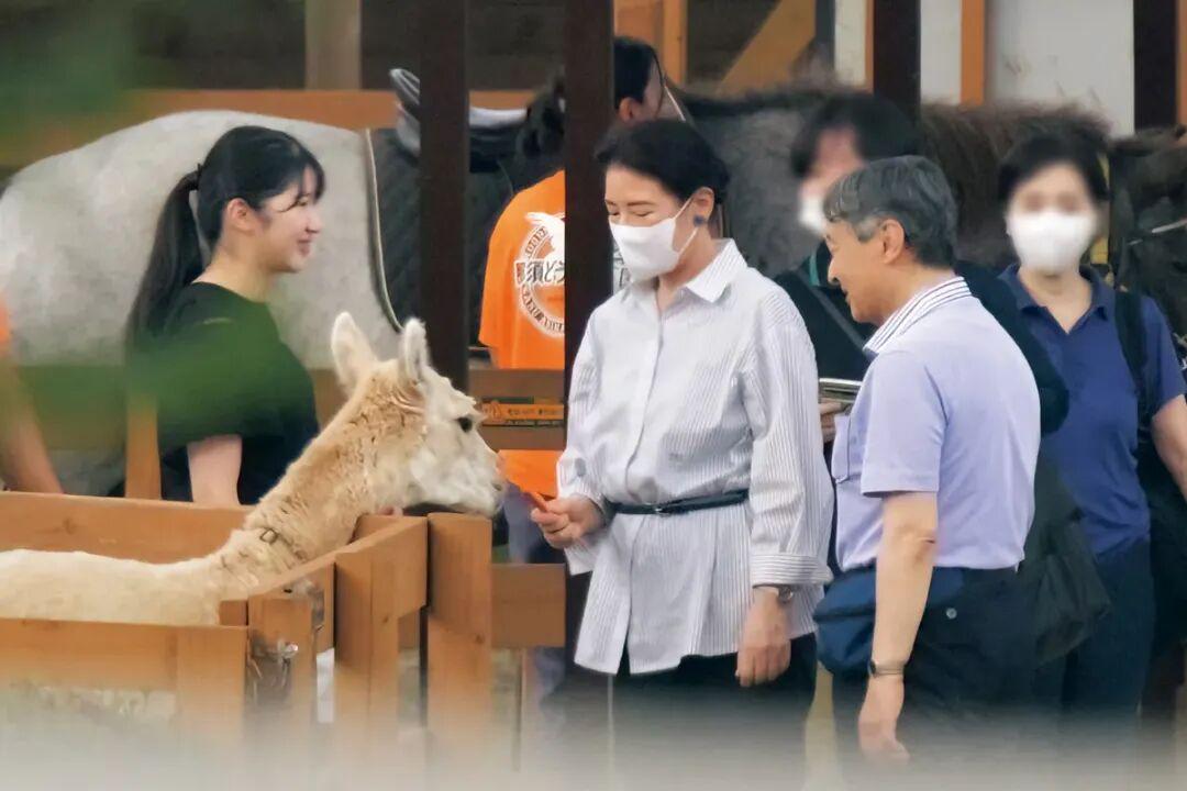图