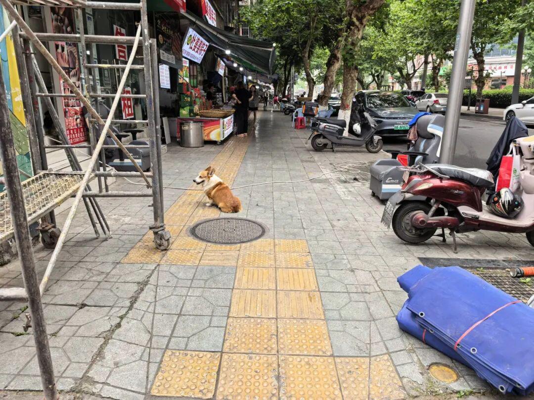 图