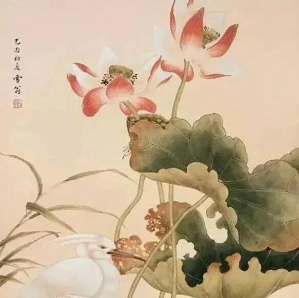 图
