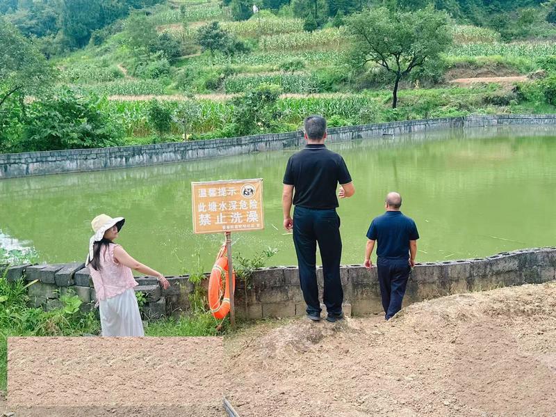 图