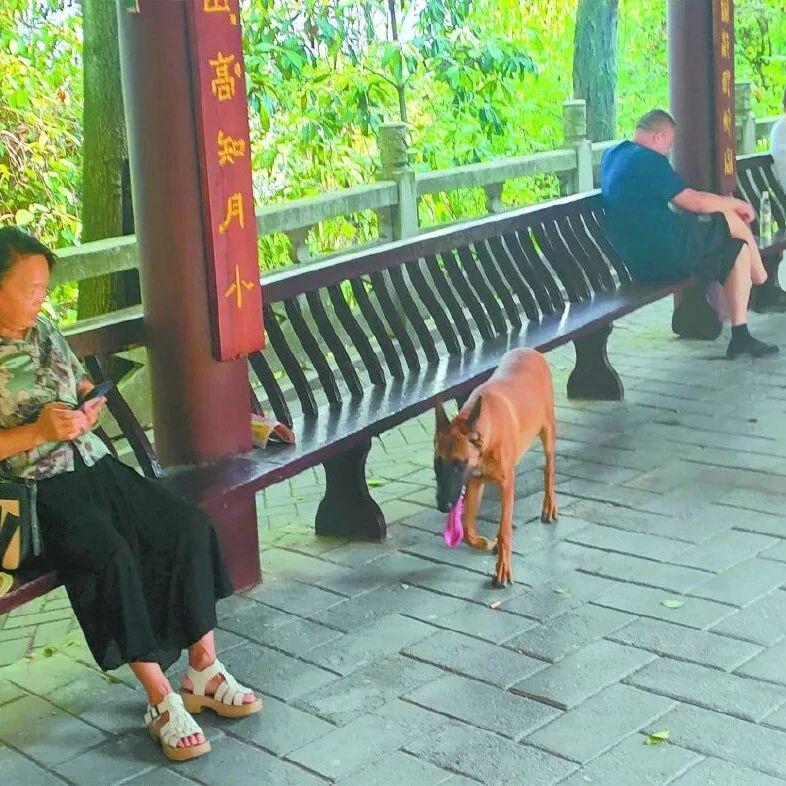 图