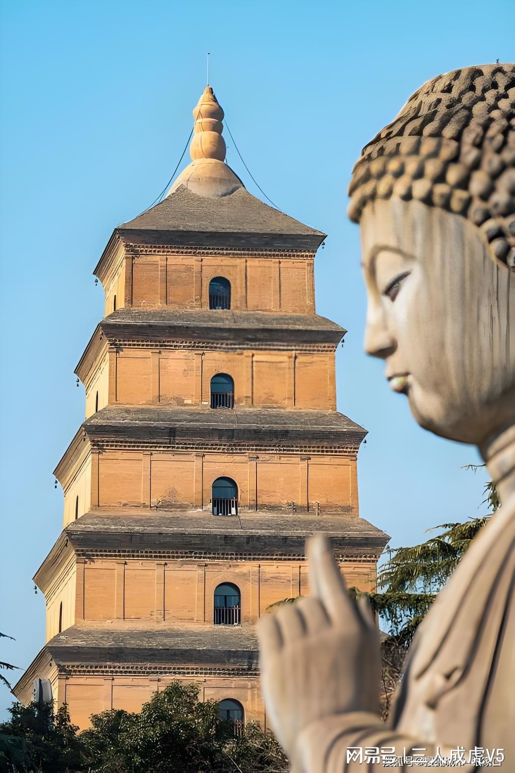 图