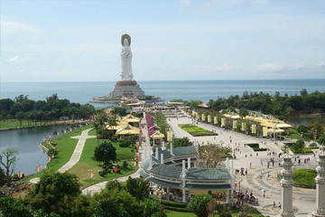 图
