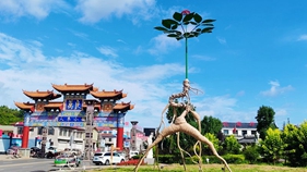 图