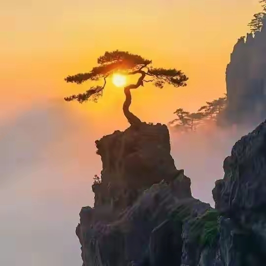 图