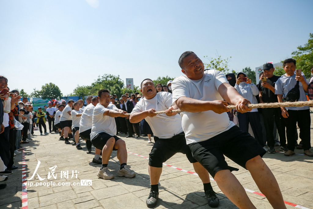 图