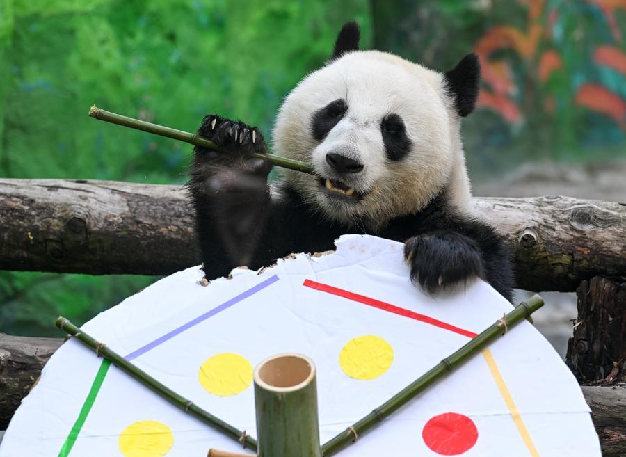 图