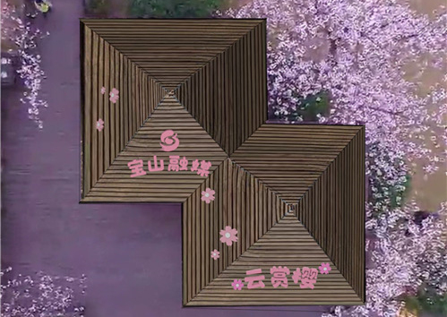 图