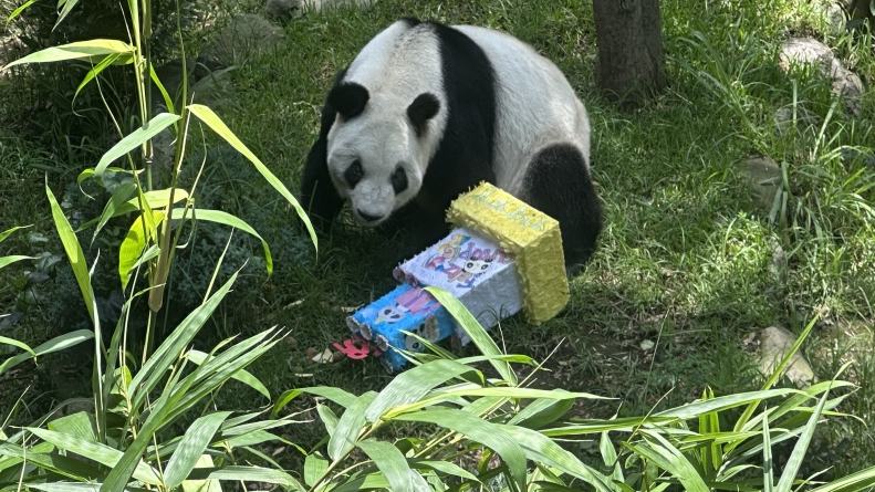 图
