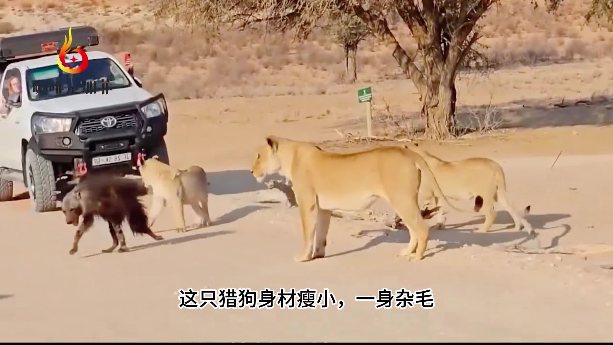 图