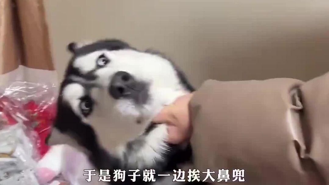 图