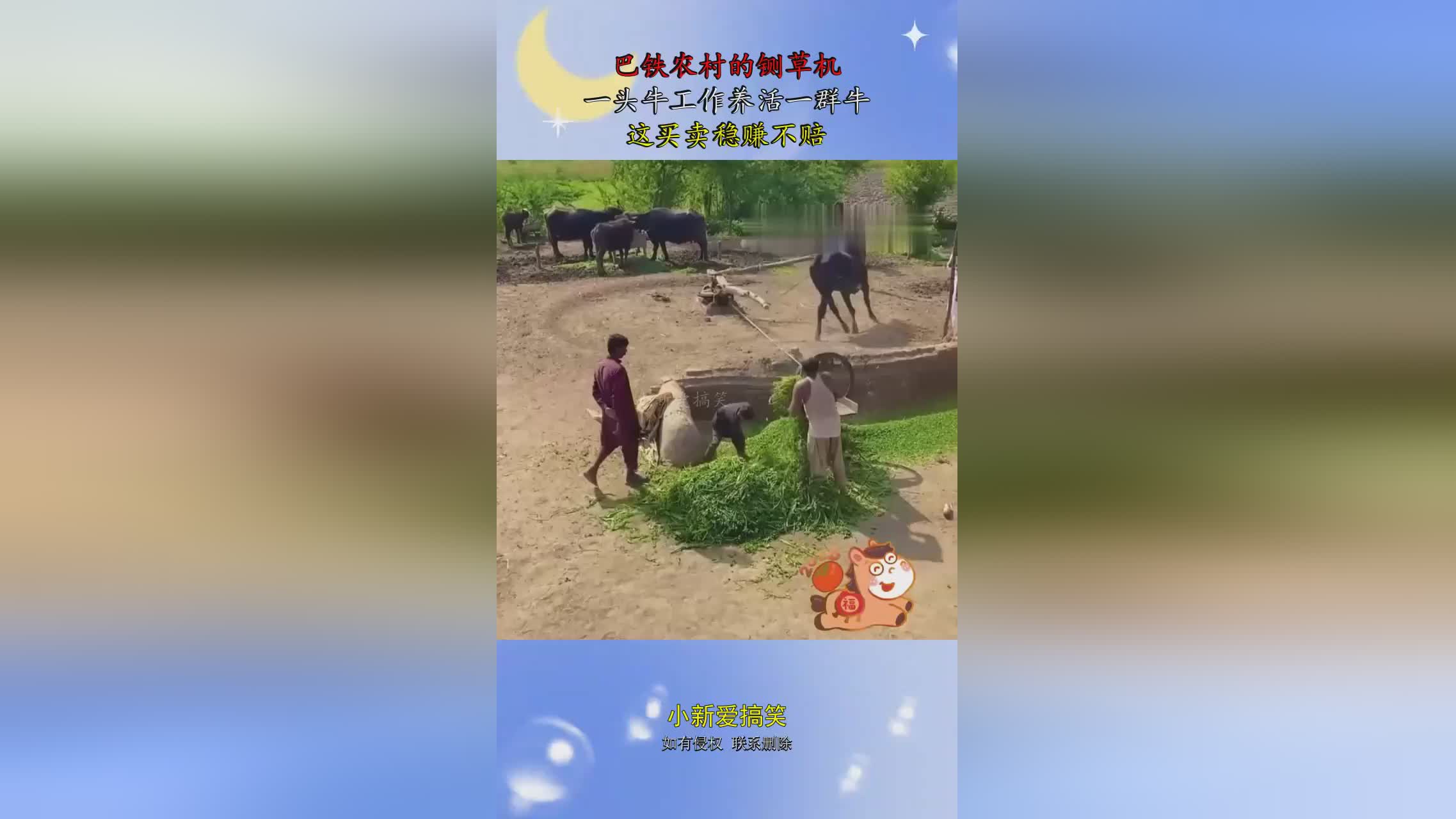 图