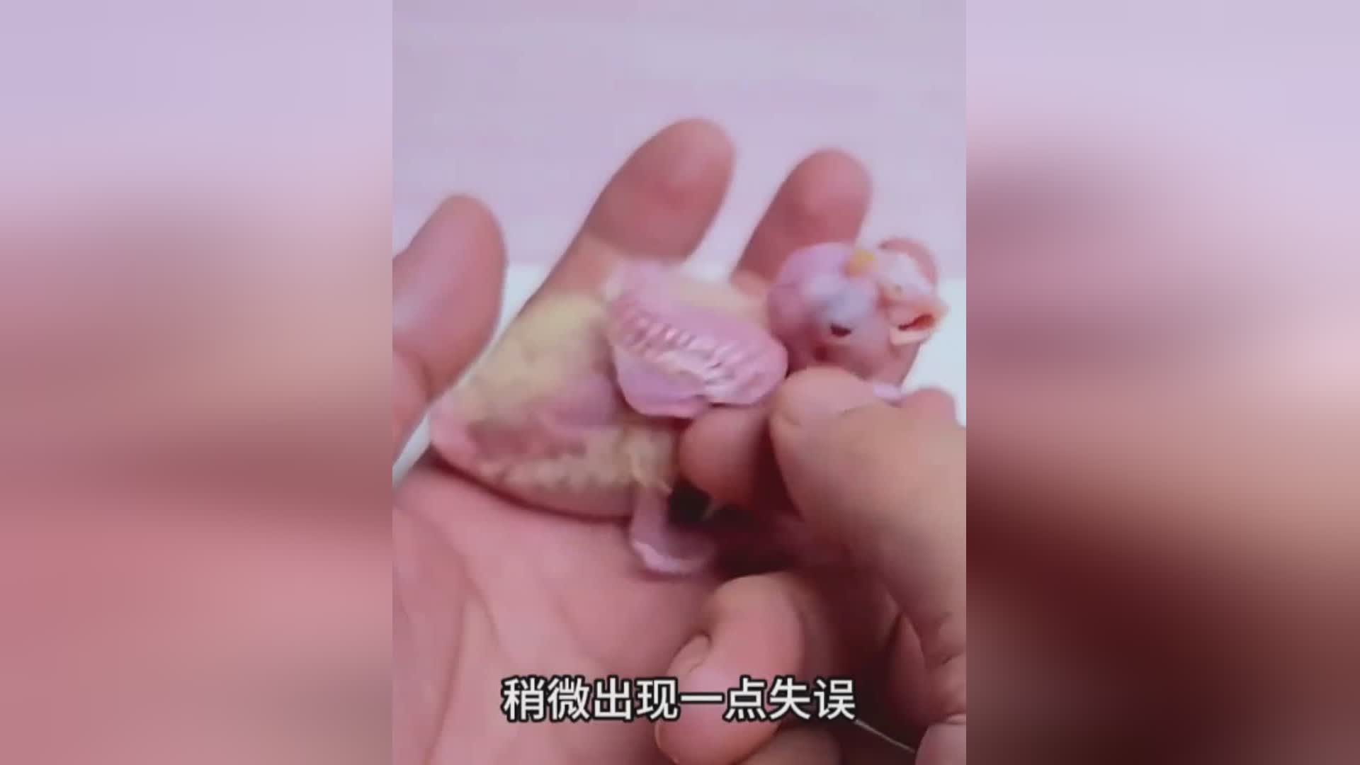 图