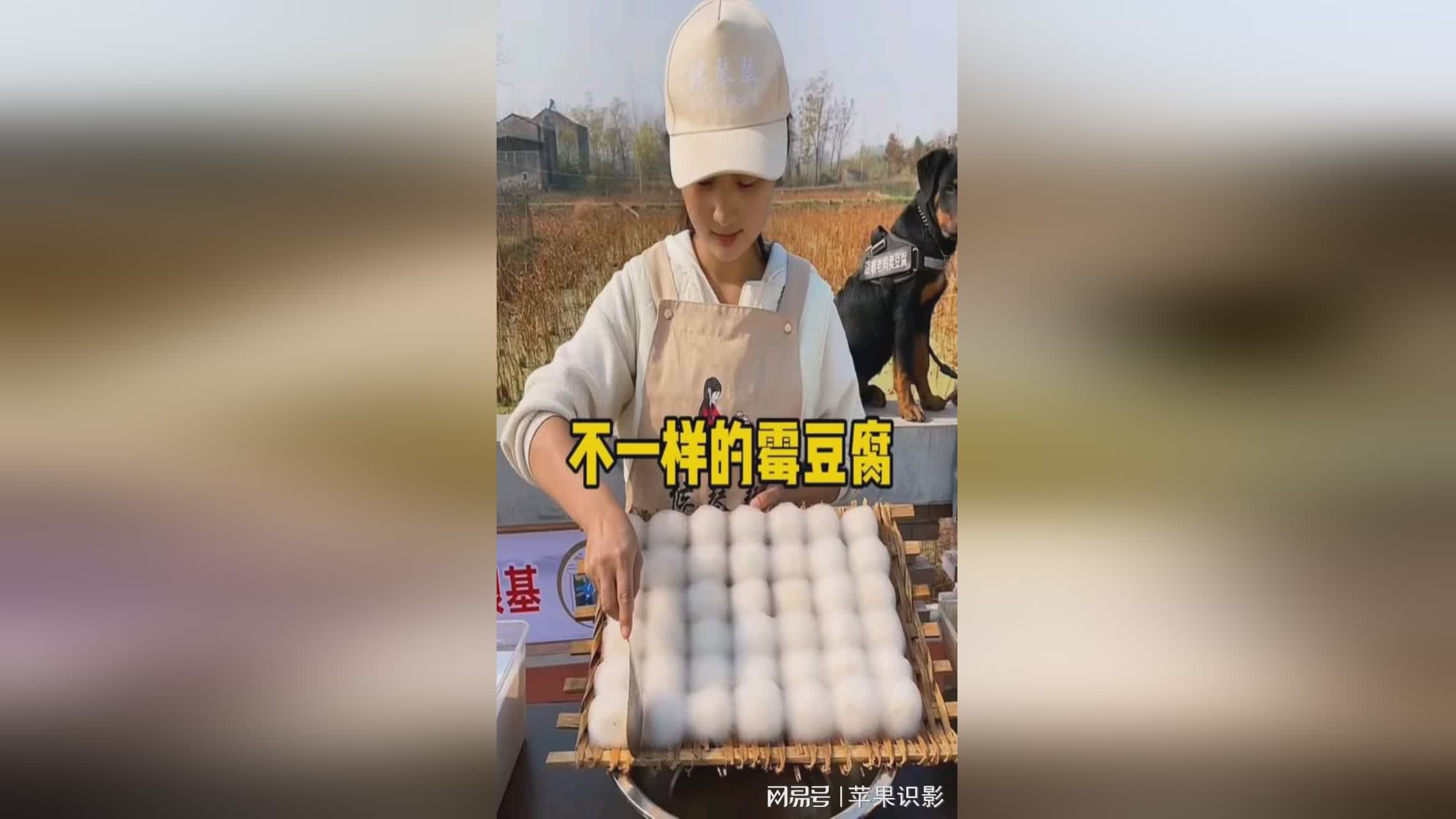 图