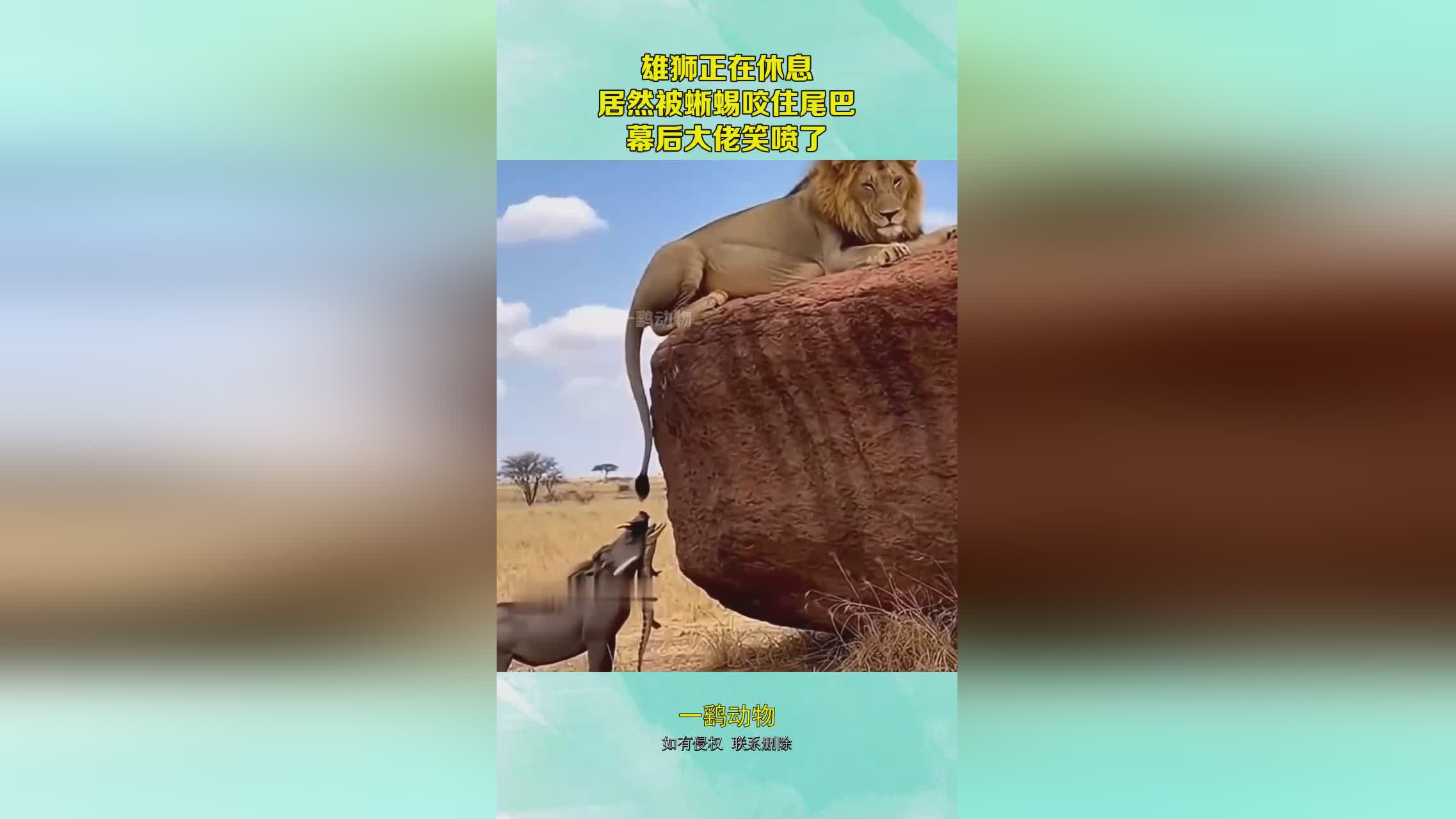 图