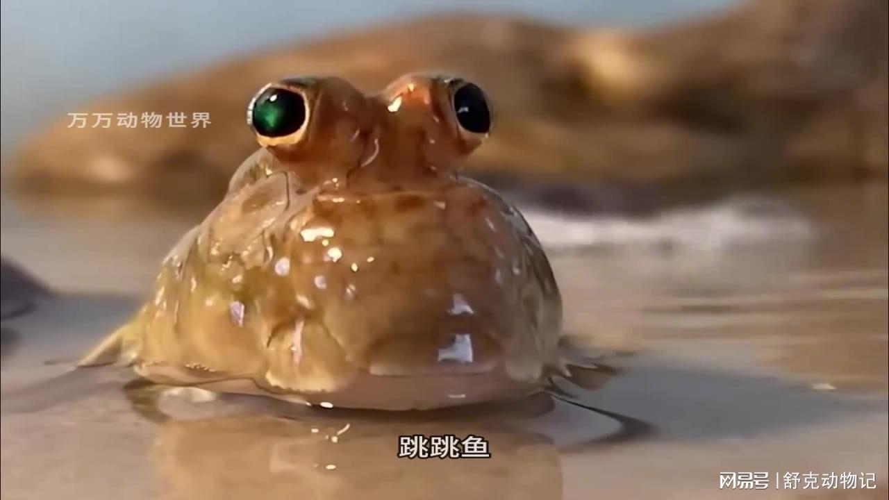 图