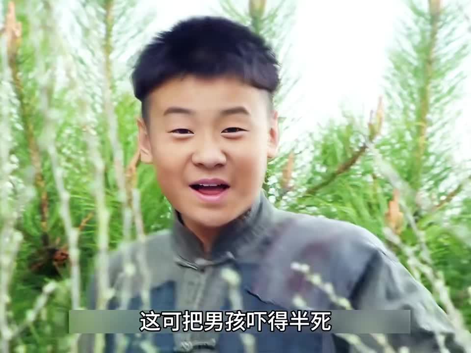 图